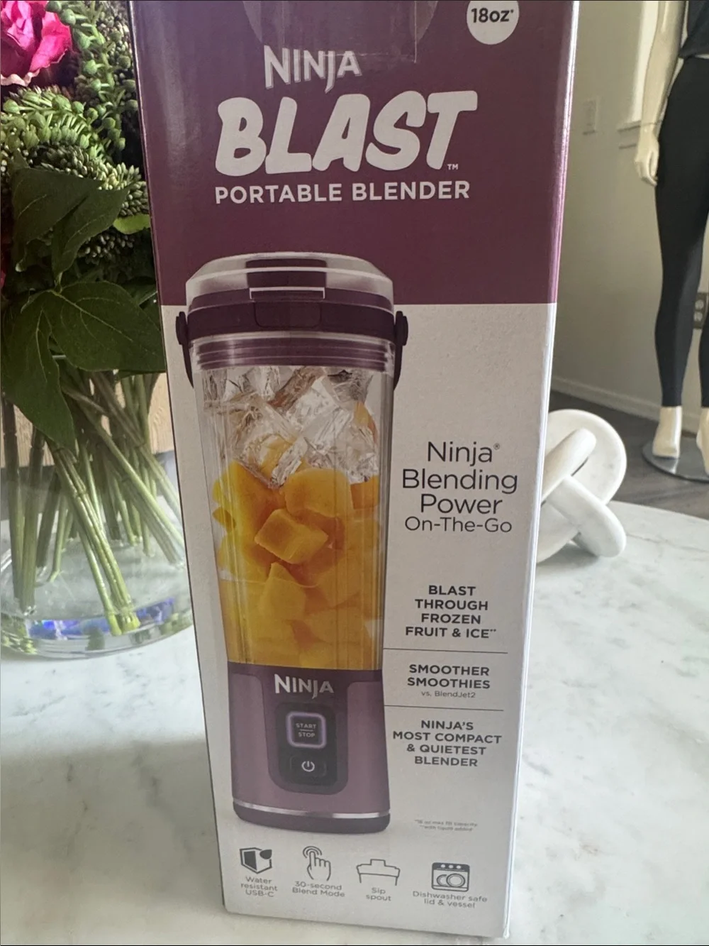 Ninja blast portable blender 18 ounces portable blender stainless steel blades